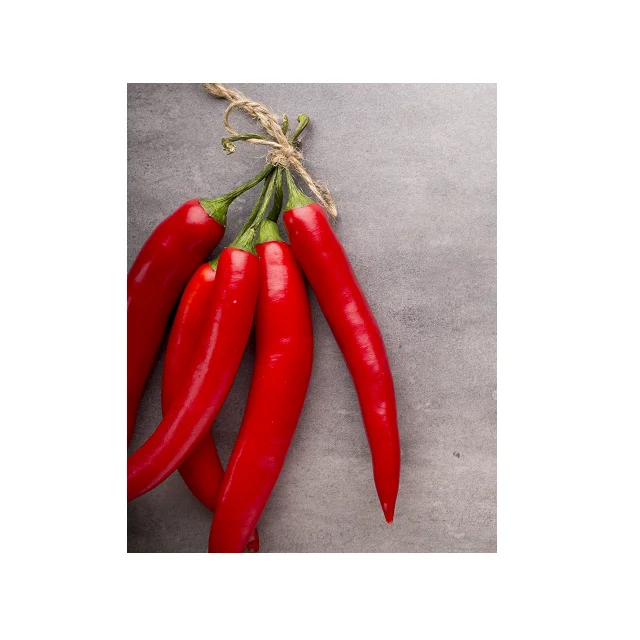 
Premium Quality Spices Red Chilli In Wholesale Price 