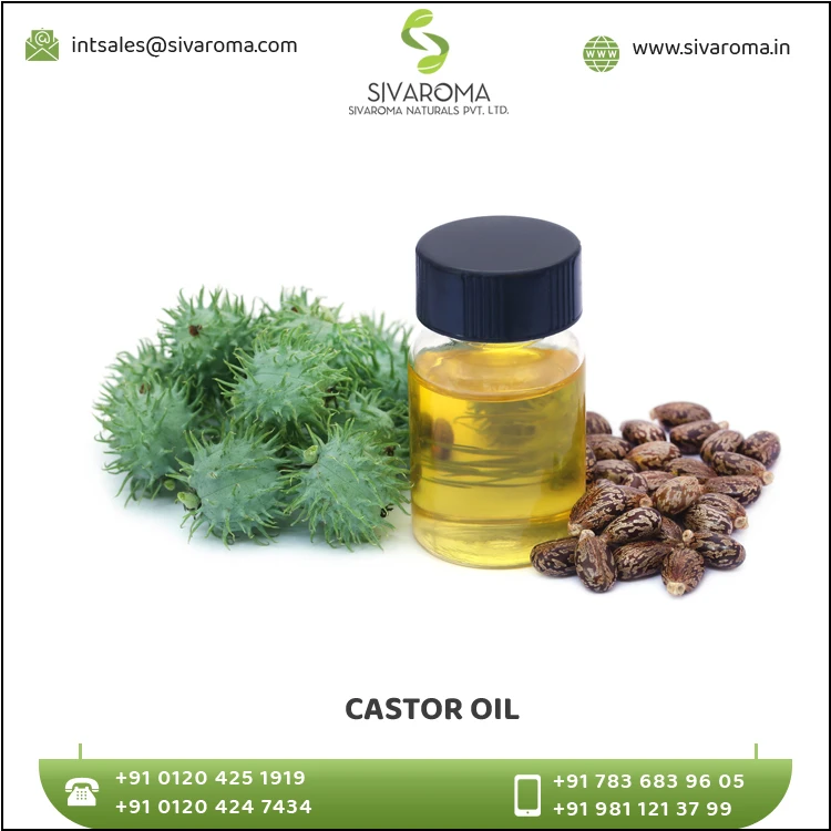 Trusted Supplier of Castor Cold Press Carrier Oil at Market Price