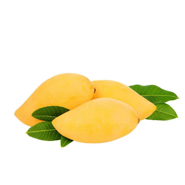 Fresh mangos Sweet Taste (Namdokmai mango) - Thailand origin premium grade100% High Quality Fresh Fruit