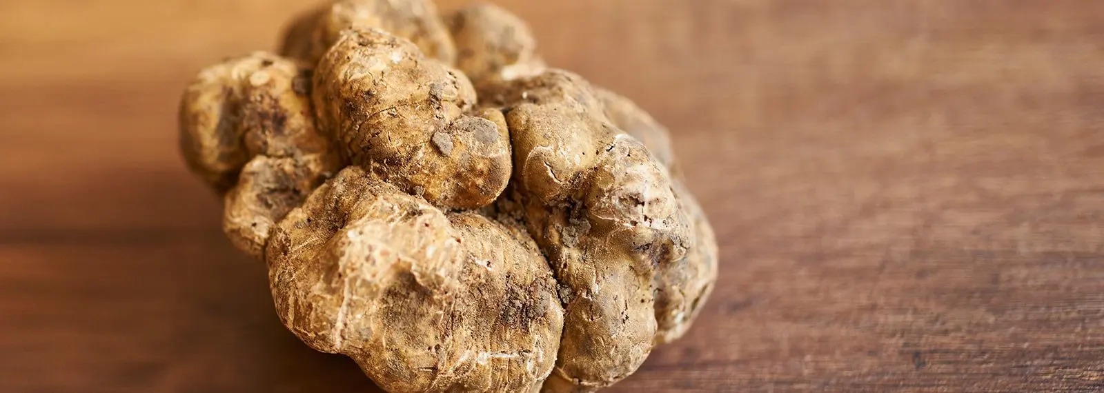 100% made in Italy Corn flour yellow for instant polenta whit truffle 250g polenta ready in few minutes to be delivered