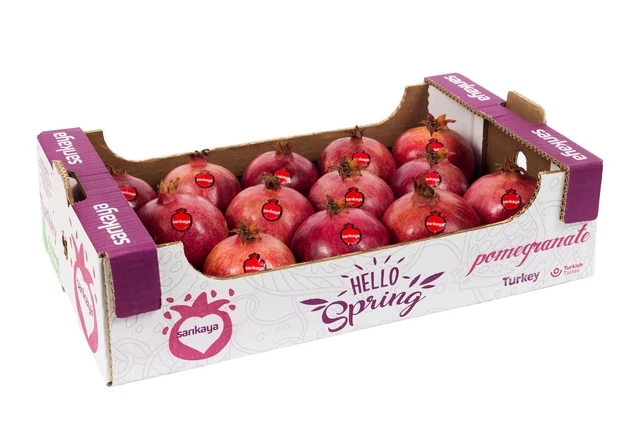 Fresh Pomegranate fruits For Sale