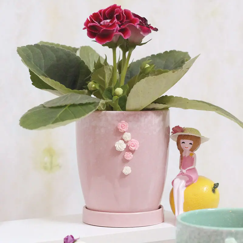 
Creative european-style crown ceramic flowerpot with tray of succulent planter customized by Chinese manufacturer 