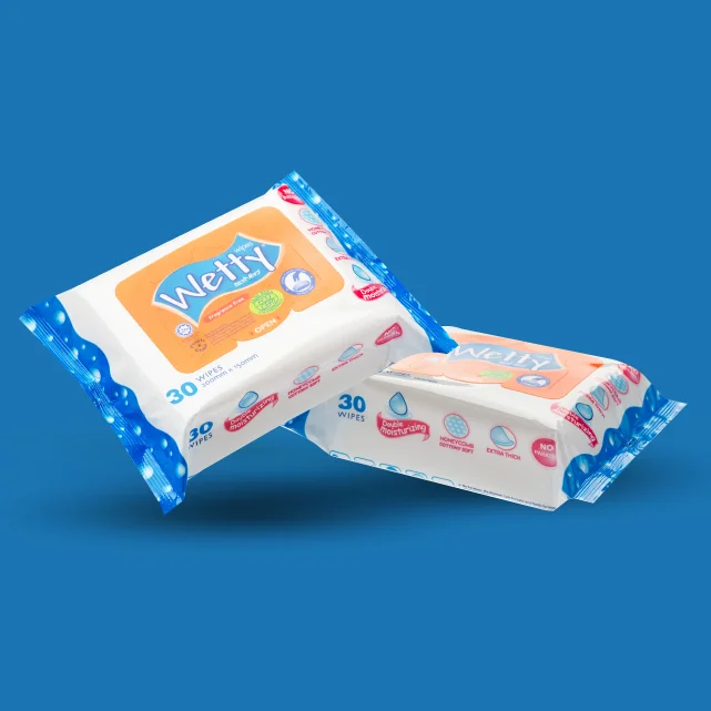 
Easy Carry Wet Wipes Family Use 