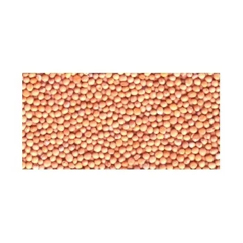 Great quality white mustard seeds