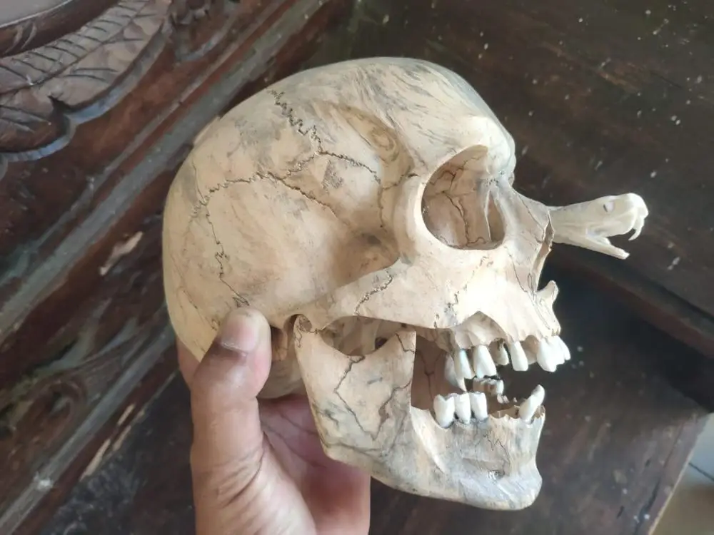 Wood Carving Skulls Antique Bamboo 100% Handmade Carving Art & Collectible Folk Art USA Teak ID;10127097 Figurine Budivis SKULL2