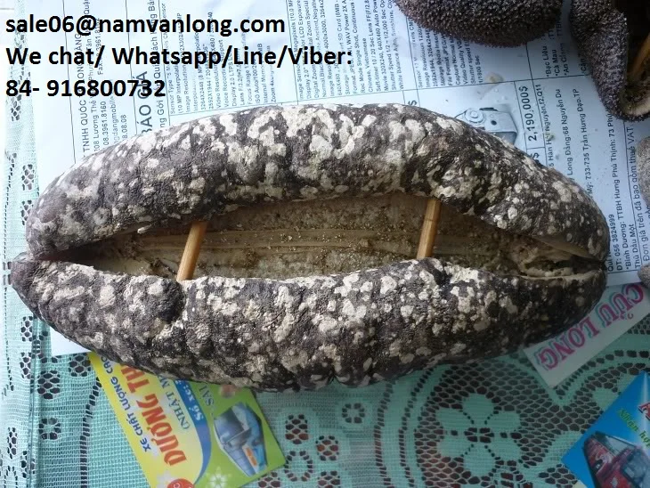 Высококачественный вкусный сушеный морской огурец по низкой цене из Вьетнама/натуральный сухой