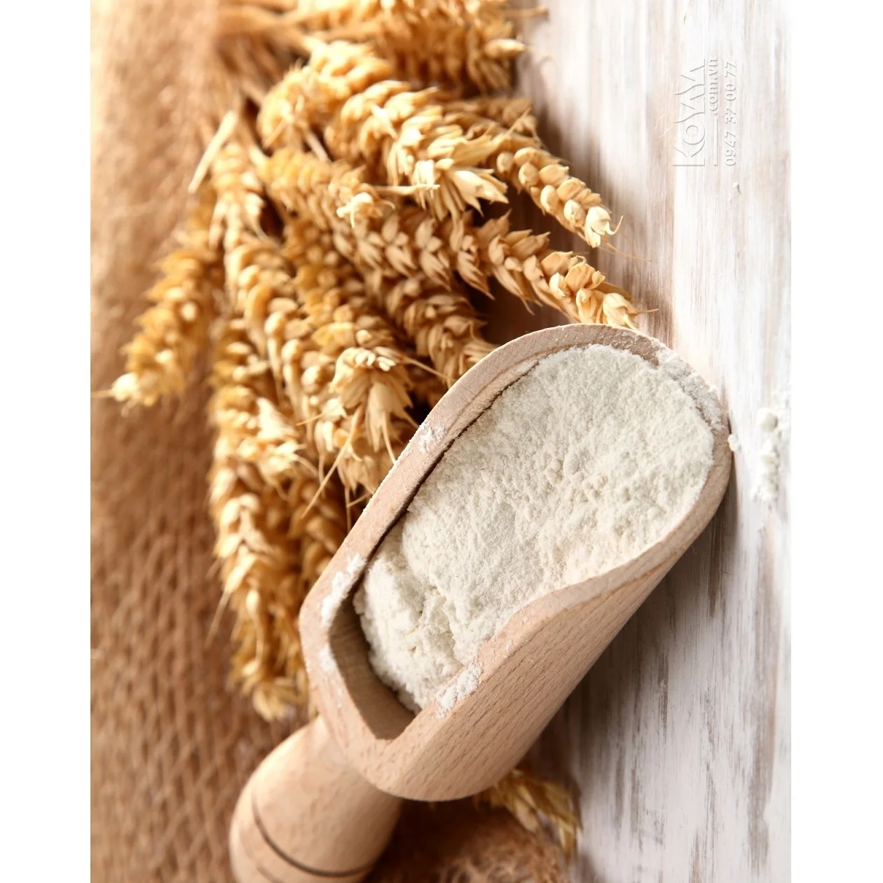 Australia Agriculture 0.5kg  Wholesale Good Choice Nutrition Flour Fresh White Organic Grain Oat Meal