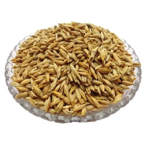 Feed Barley Kazakhstan Wholesale Natural Organic First Grade Animal Feed Barley 50 Kg Bag Packaging Barley Seeds Cereal Grain