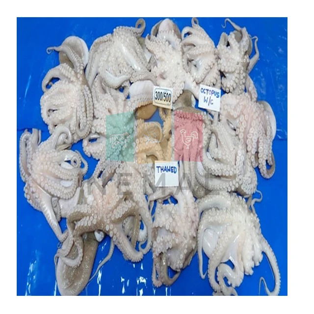 
High Selling Frozen Octopus 