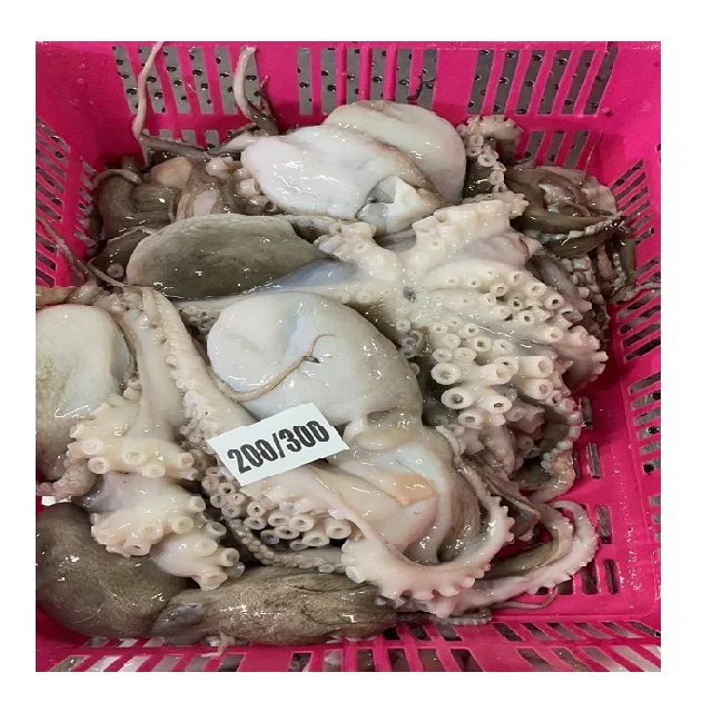 Top quality block frozen Octopus whole long arm from India, frozen octopus for sale