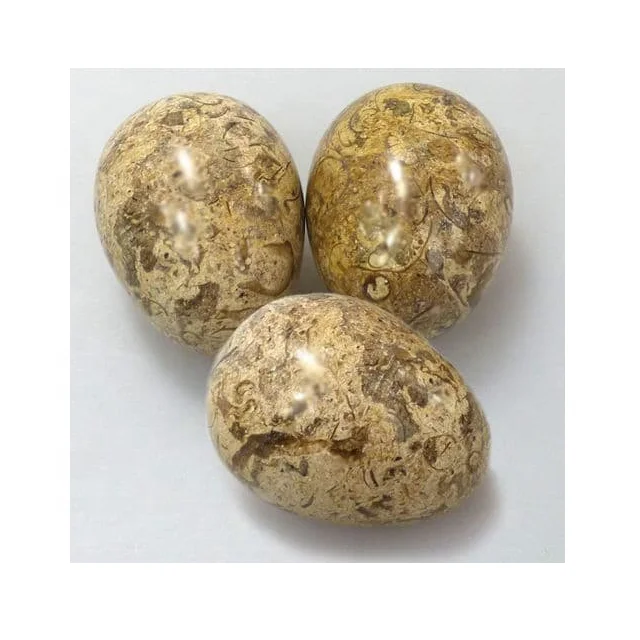 
Fossil Marble Eggs In Low Price For Decoration 