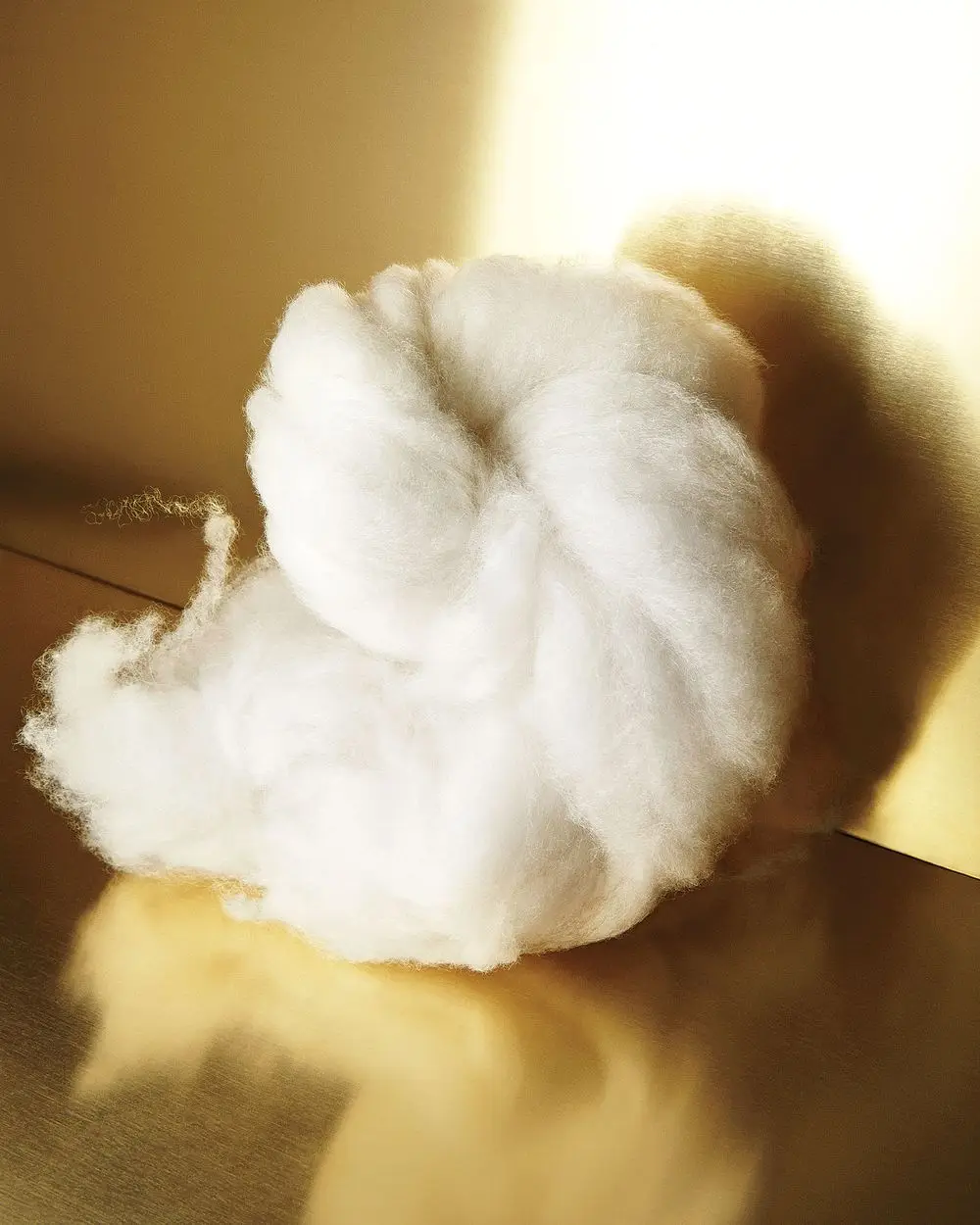 
Buy Cheap Dehaired Raw White Cashmere Fibre / Goat Wool Fiber 
