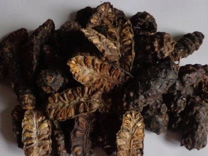 Сушеные Продукты Noni высокого качества и по лучшей цене с высокими питательными веществами // Ms Sofia + 84 789946878