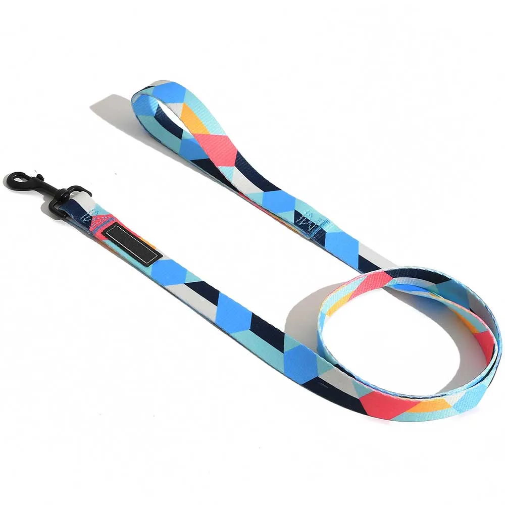 Saiji waterproof Eco friendly pet rainbow rope lead and competitive price retractable running dog leash collars