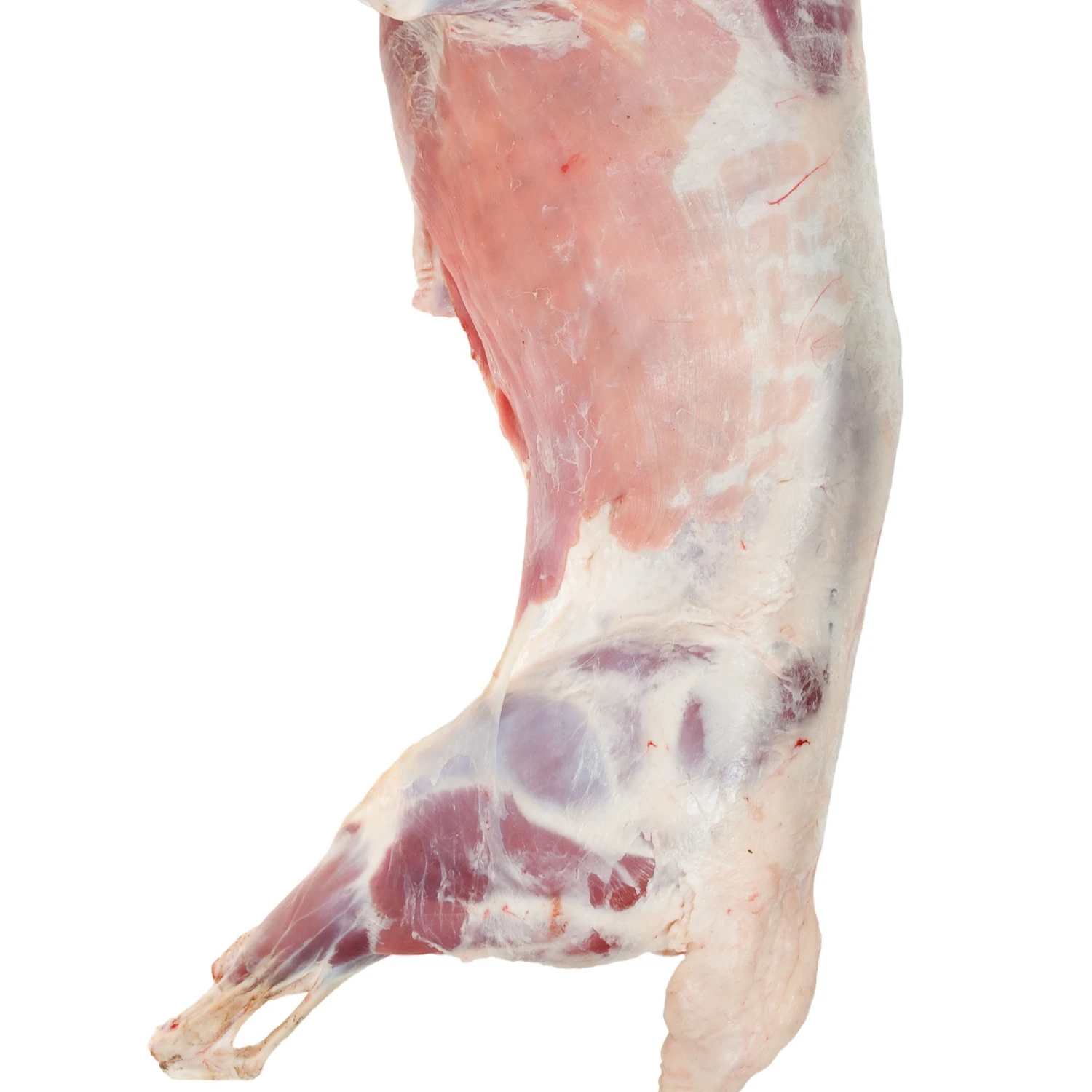 Halal Whole Freshly Frozen Whole  Mutton Carcass/ Sheep / Lamb / Goat Meat and Parts USA & Austria Origin