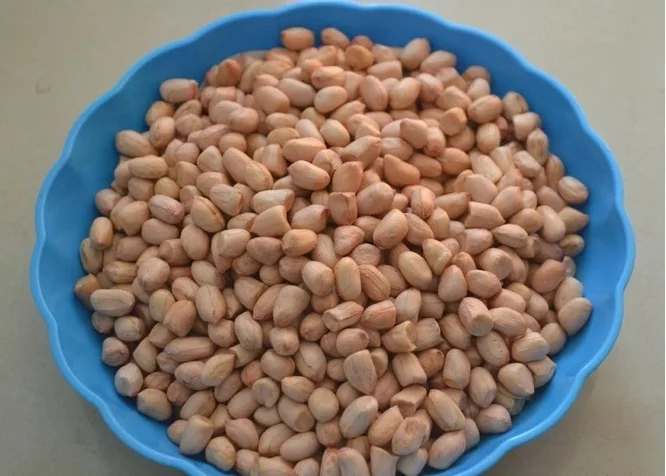 pink skin groundnut java 60 70 count best buy offer super fine peanut