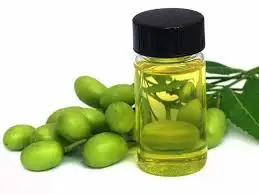 
Best 100% Natural and Pure Neem Kernel Oil Azadirachta Indica Cold Press Grade Wholesale Supplier 