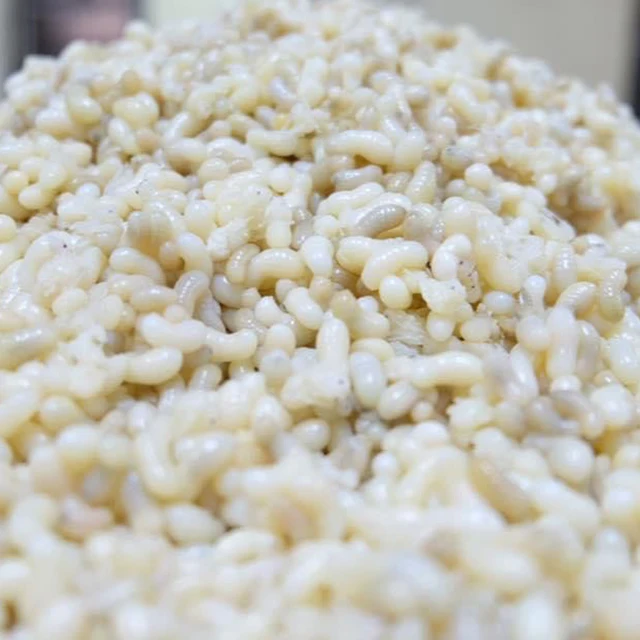 
Ant Eggs in salted water thailand products 400g 
