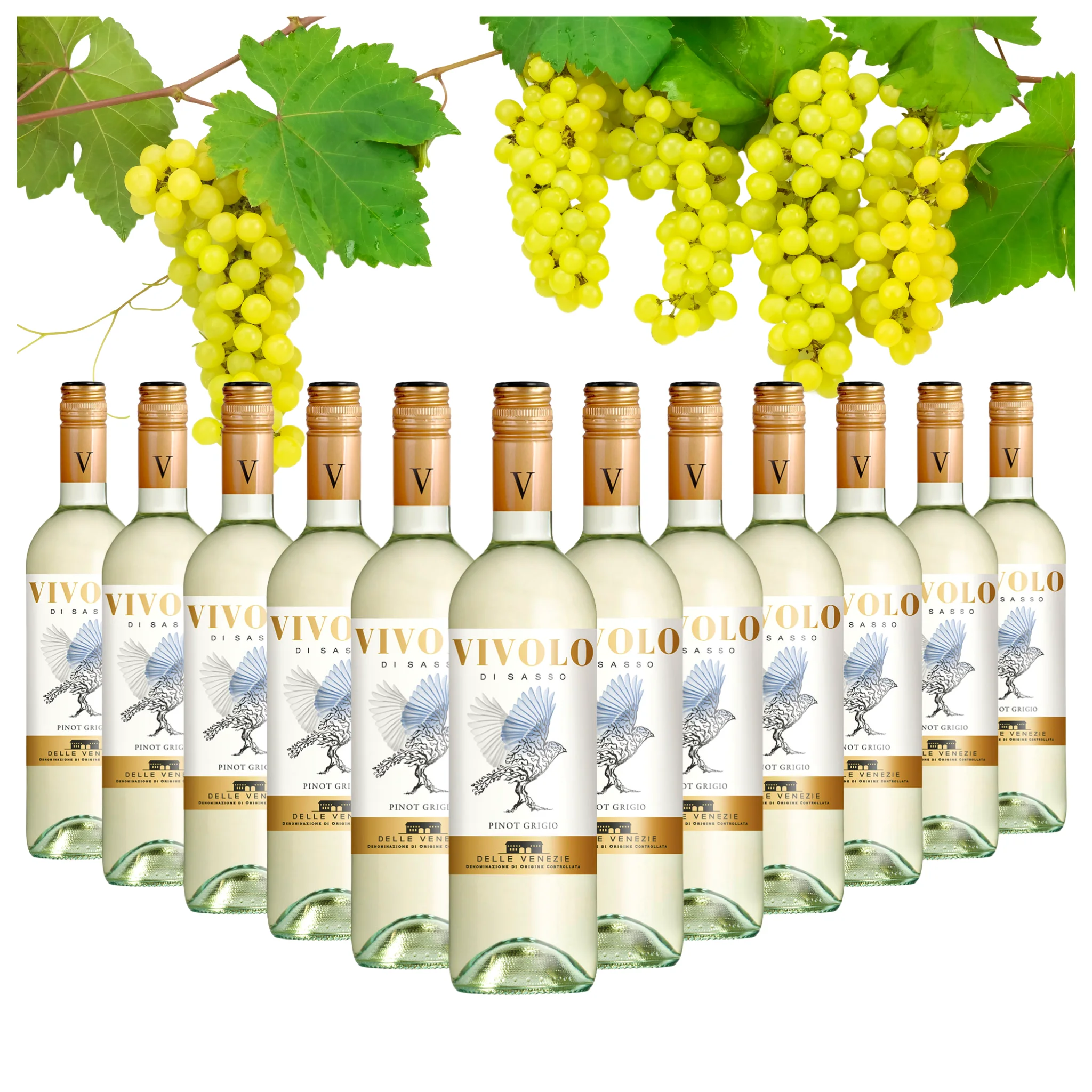 Italian White Wine - Pinot Gris Delle Venezie DOC - Alcohol WIne 12% - White Wine bottles 750 ml for sale - Dropship wine