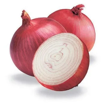 CHEAP high quality fresh yellow/red/white onion FOR SALE AT GOOD PRICES