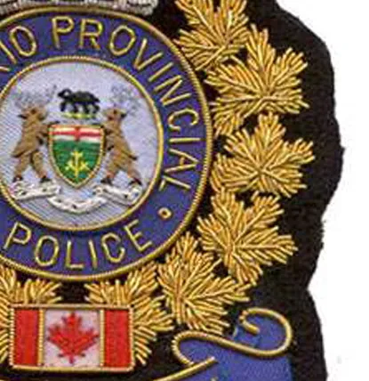 Ontario Blazer Badge Patch Tactical Hand Embroidery Fabric Brass Name Badge Uniform Decoration Custom OEM Pin Back Badges Cheap