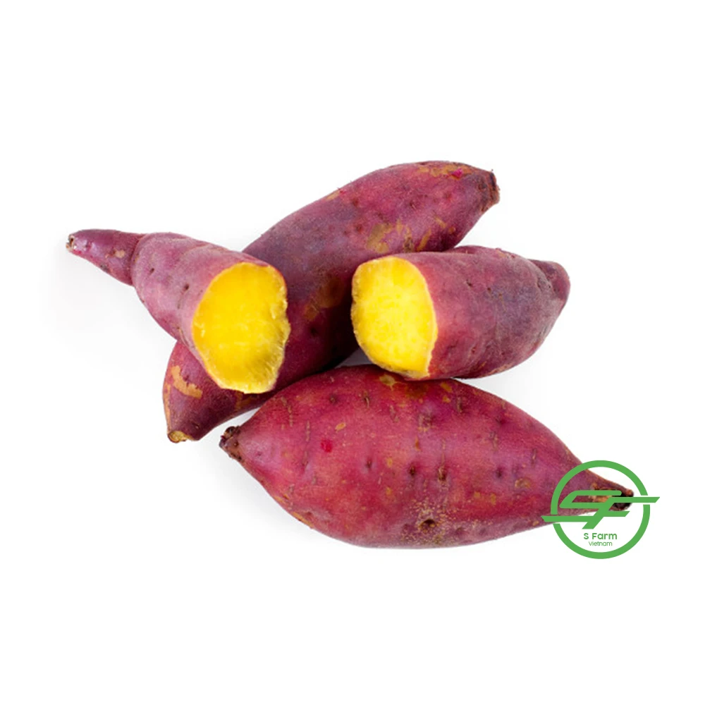 Fresh Potato - 100% Maturity Newest Crop Purple Sweet Potato- 10kg with best price from Vietnam