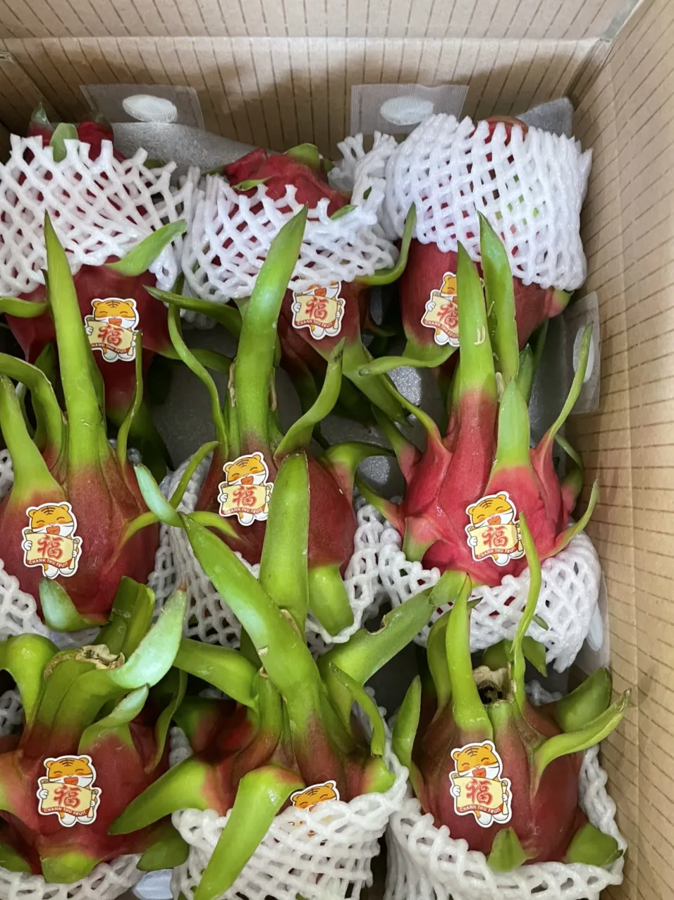 Red and Green Skin Color Sweet Taste Red flesh/ White flesh Variety Dragon fruit Export From Vietnam