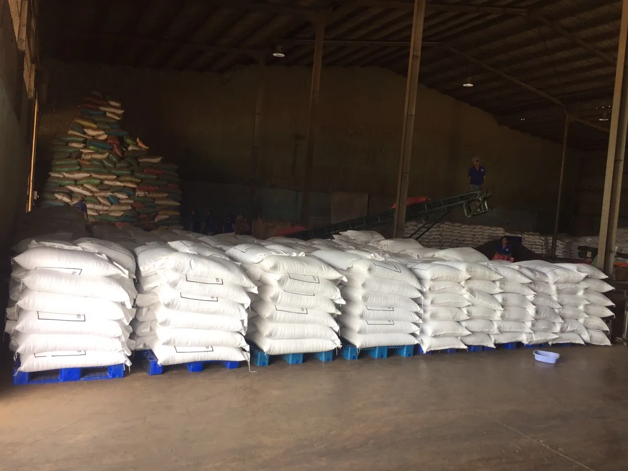 Перцовый перец 1 мм 2 3 черный легкие ягоды перец/перцовая лузга/специи OEM Массовая упаковка (+ 84986778999 David)