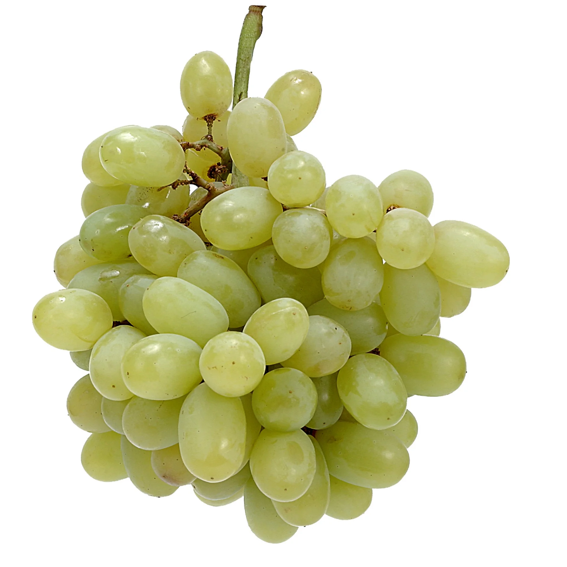 Зеленый виноград без рассады-свежее качество