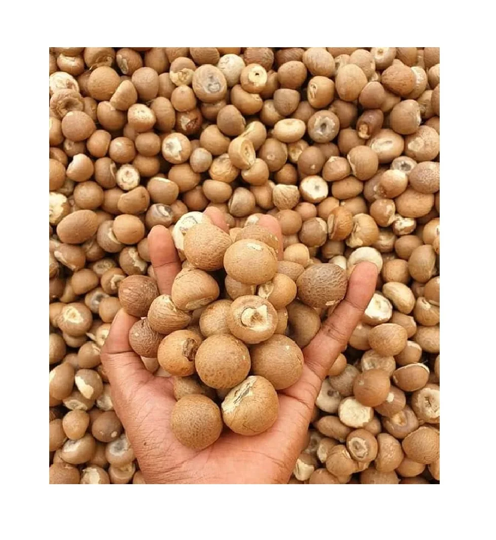  BETEL NUT HALF CUT/сушеный SUPARI/нарезанный из Вьетнама (Жасмин: + 84 37 461