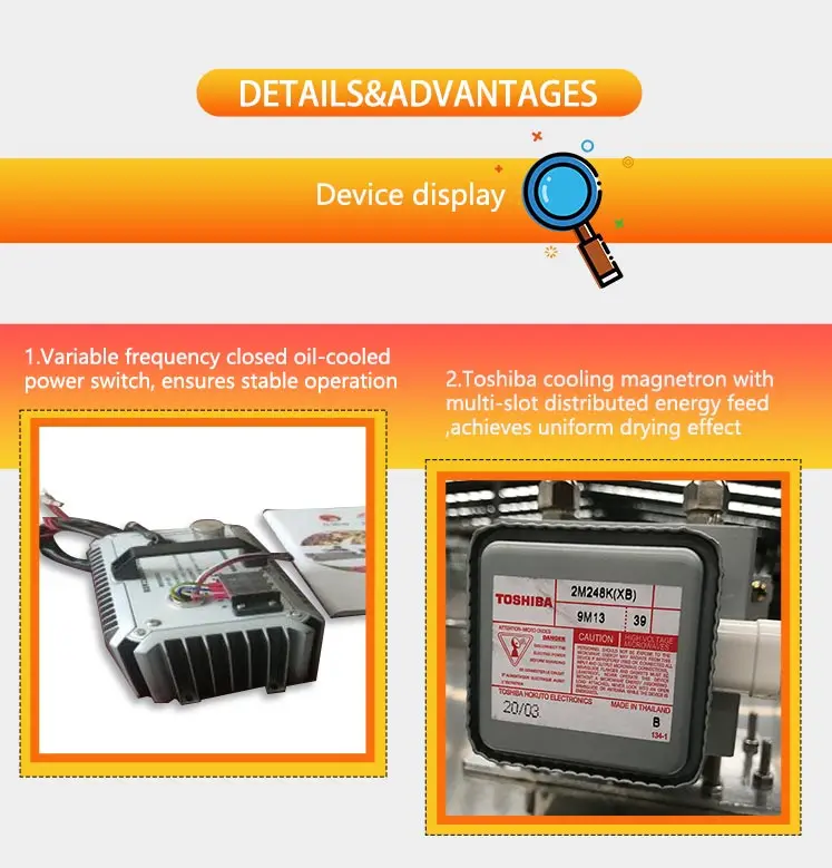 kiwi fruits  microwave dehydrator.jpg