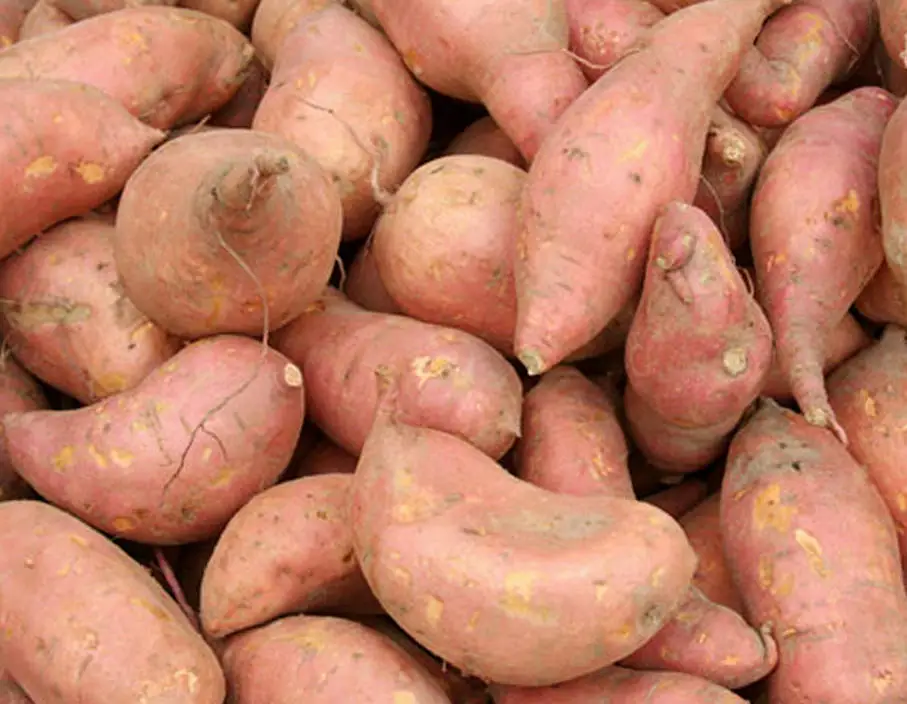 
Fresh Sweet Potatoes 