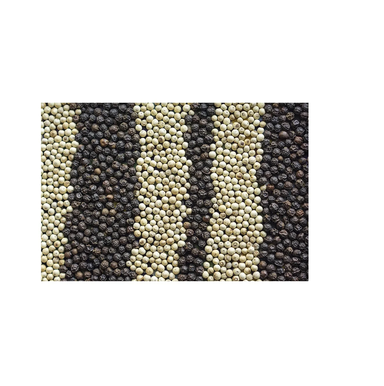 Wholesale Black And White Pepper Factory Price Black And White Pepper