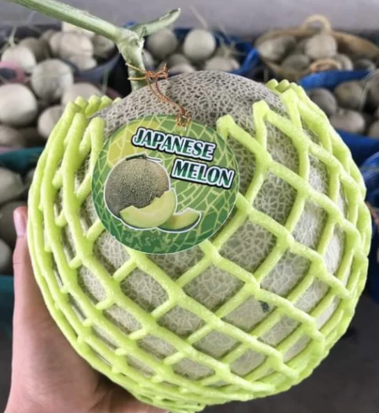 
EWC Premium Farrmer From Thailand Tropical Fruit Fresh Melon Green Meat Sweet Taste 