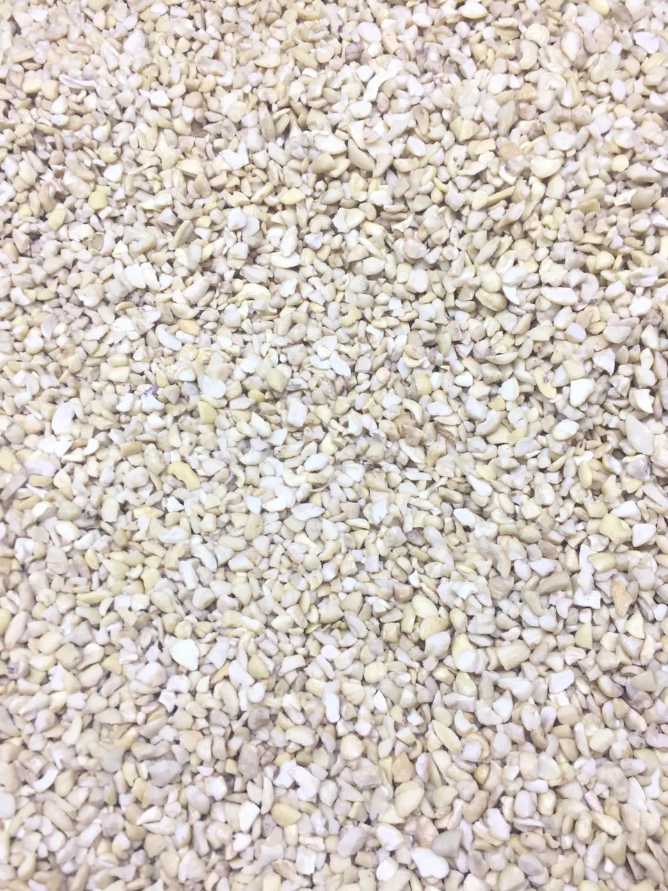 RAW CASHEW NUTS AFI STANDARD/ BROKEN CASHEW/WS LP SP BB- HUYNH GIA AGRICULTURE JOINT STOCK COMPANY