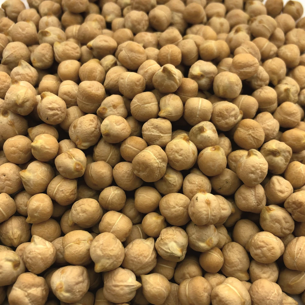 Organic dried kabuli chickpeas big bag, product of Russia