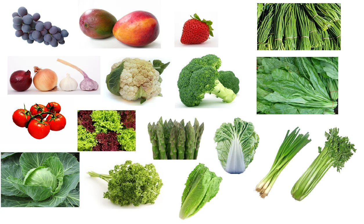 Жидкое удобрение для овощей и фруктов производства Тайвань с высоким содержанием азота кальция