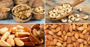 Dried Style and Raw Processing Kind VIETNAM CASHEW NUTS IMPORT PRICE