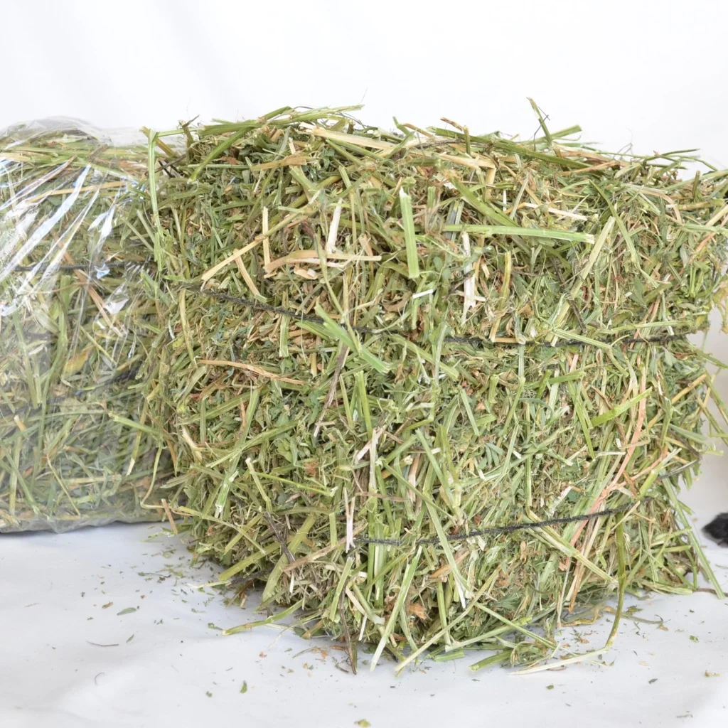 UKRAINE  Alfalfa Hay for Animal Feeding Stuff Alfalfa / Alfalfa Hay FOR SALE