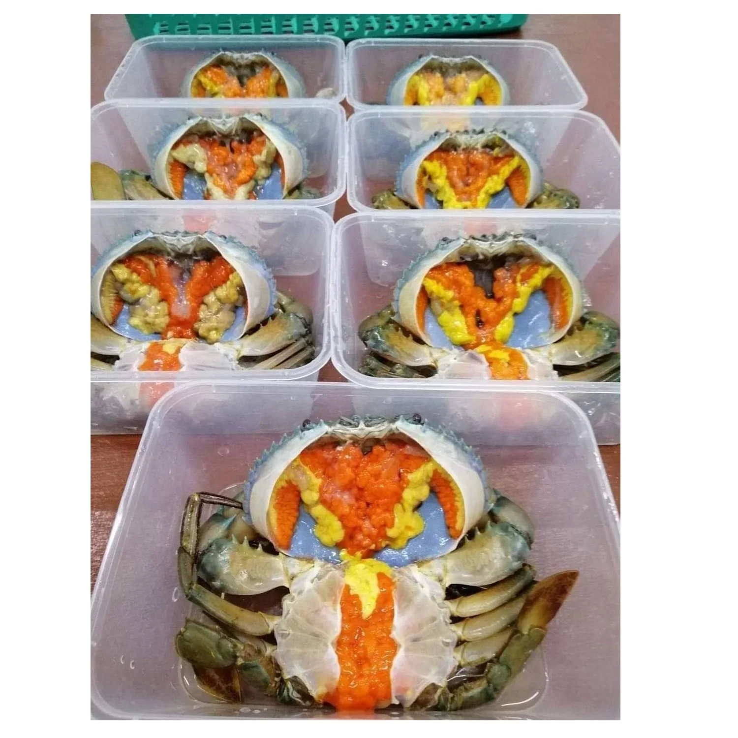 Female Mud Crab Fresh  Best Quality Master Seafood Product Size 90-300gm Origin Bangladesh Wholesale offer Price