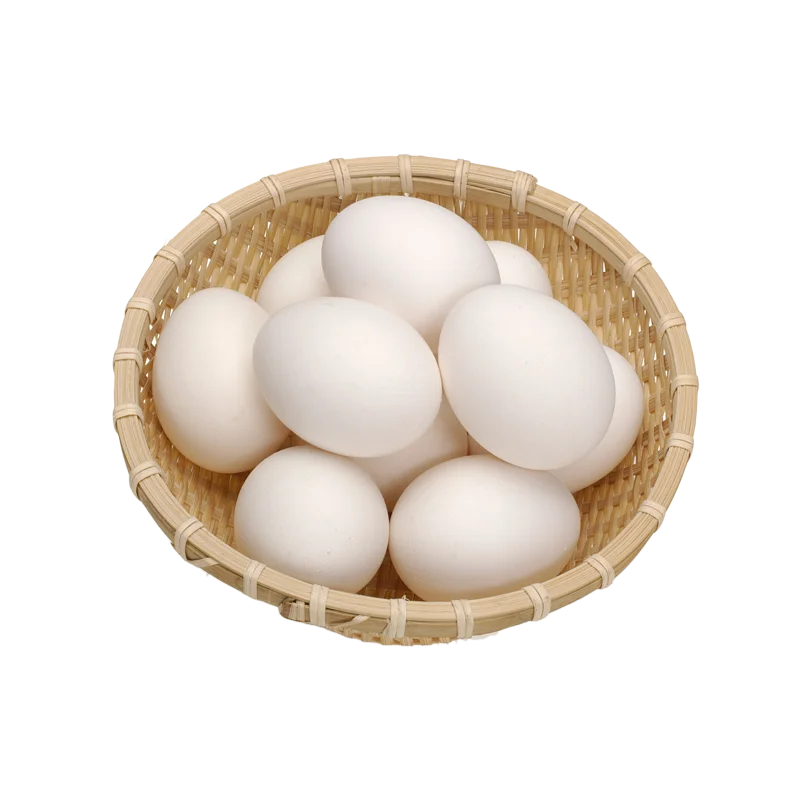 6 (1).png