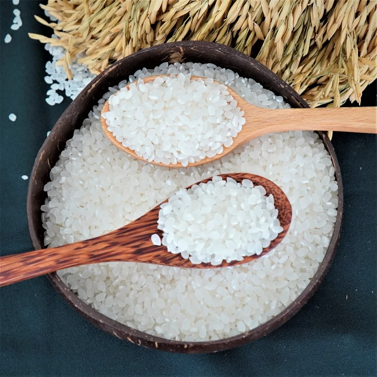 Hot Selling Vietnam Round Rice Rich Protein Short Grain Japonica Rice from Vietnam Best Supplier Contact us for Best Price