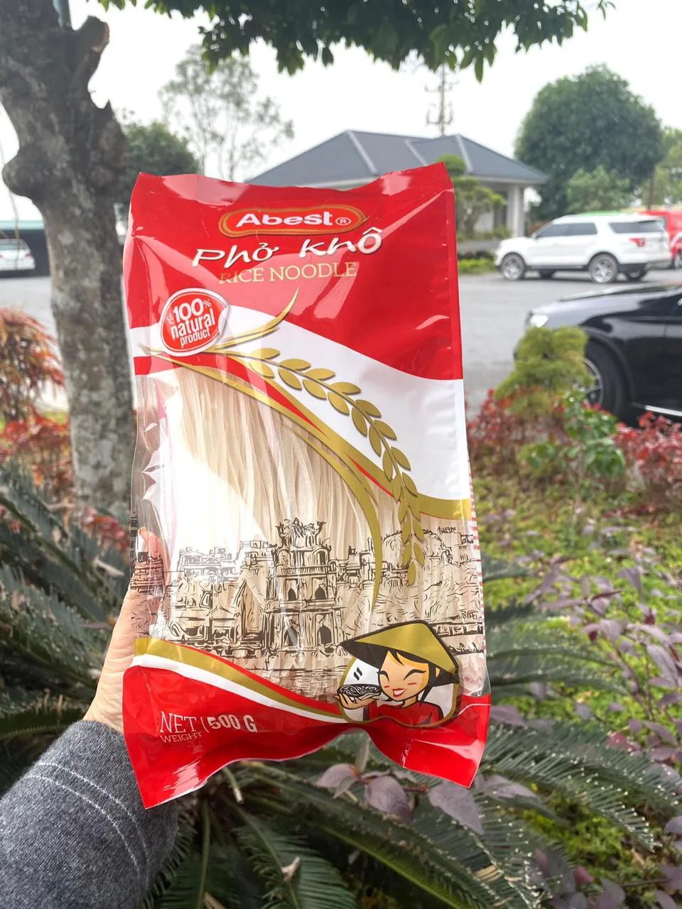 High Quality Square Rice Vermicelli Noodles Halal Rice Noodle Vietnam OEM With Private Lable