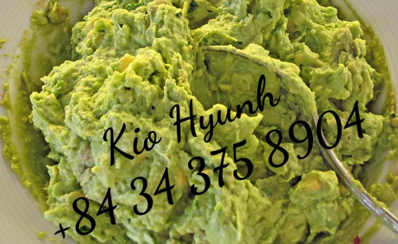 Unique Flavor Spicy Frozen Avocado Export Avocados Fresh Fruit Importers with Pepper Sale in Bulk   From VietNam