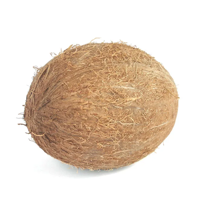 
Wholesale Indonesia Semi Husked Fresh Mature Coconut 