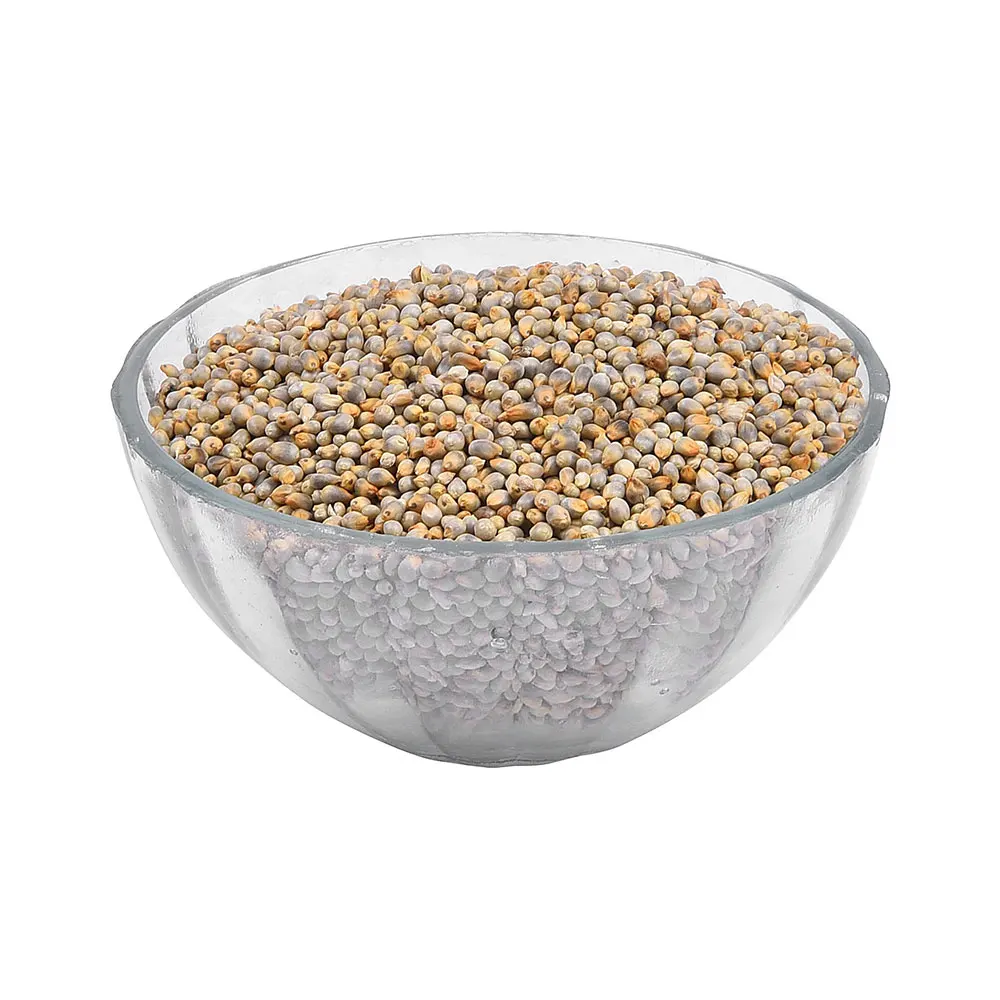 Machine Cleaned Best Grade Protein Enriched 100% Organic Grey Millet Buy At Bulk Rate