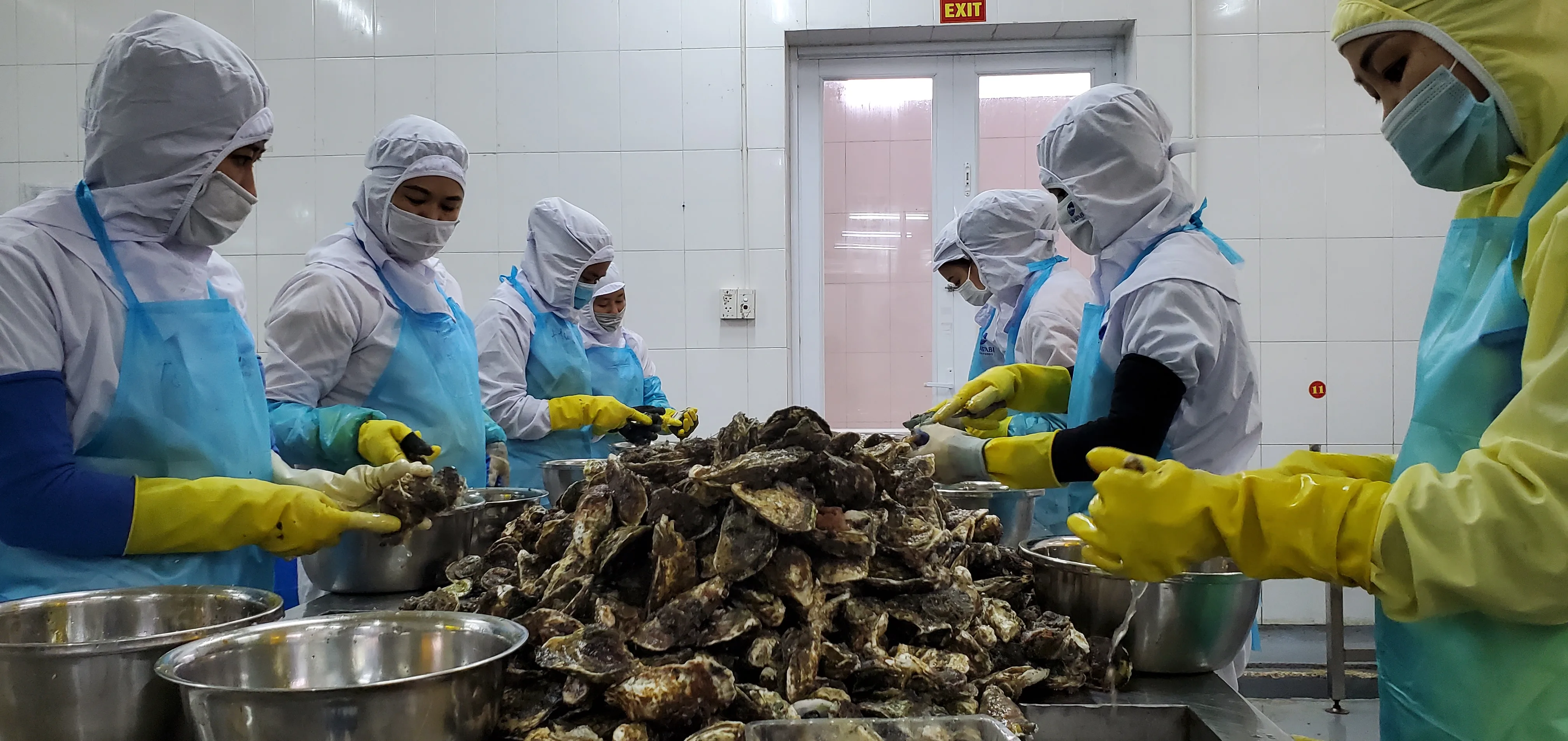Best Item From Reputable Company In Viet Nam Offer Oyster At Low Price With ISO HACCP Certificate Premium Oyster Intestine