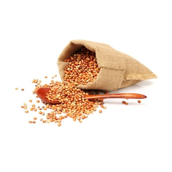 Available Bulk Stock Of Sorghum Grains At Lowest Prices (11000002465516)