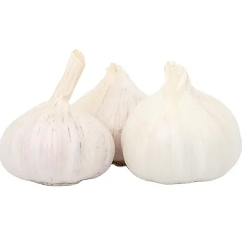 
Fresh Garlic white garlic indian natural garlic 