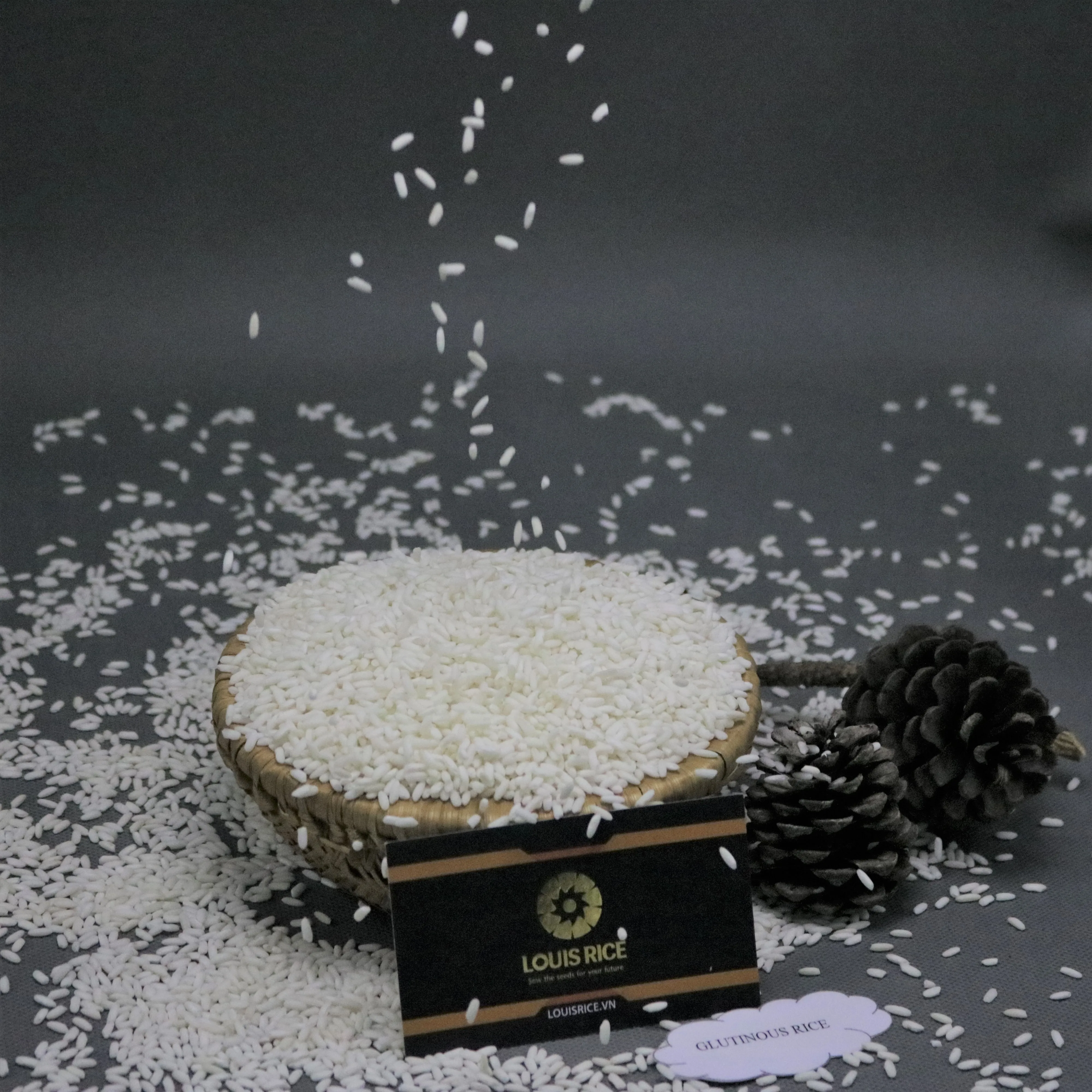 Top sellers Long An glutinous rice 10% broken